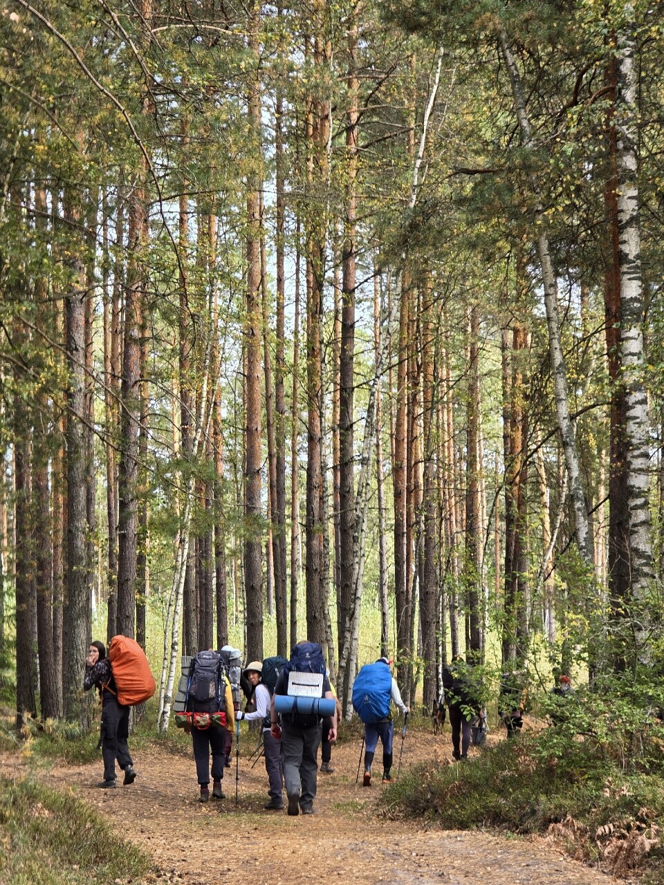 Edpdw5deithQR-_QvvKDGeS114qqo4olUZMlYvbLcoNrzNThW4h55MMzN8ZVBcvy7XLEP0Gr4lTaL4k6qokkOrsm